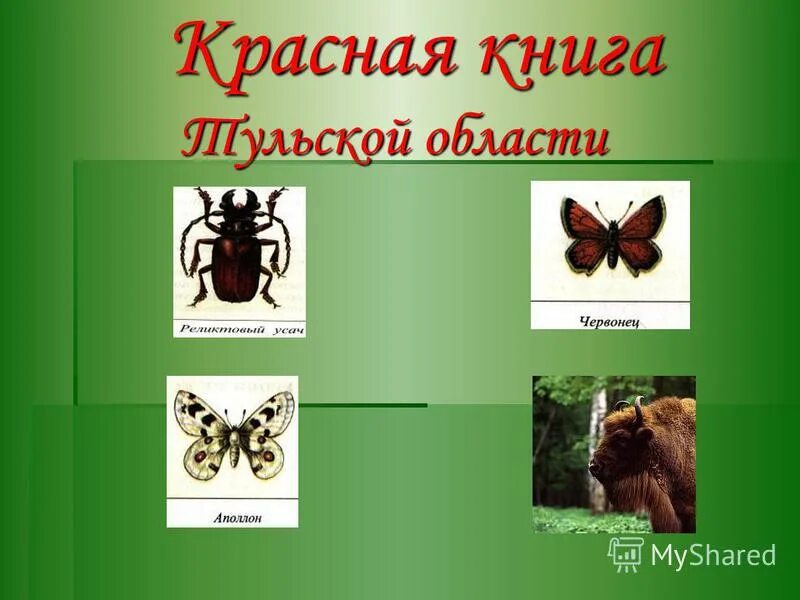 Красная книга тульской области презентация