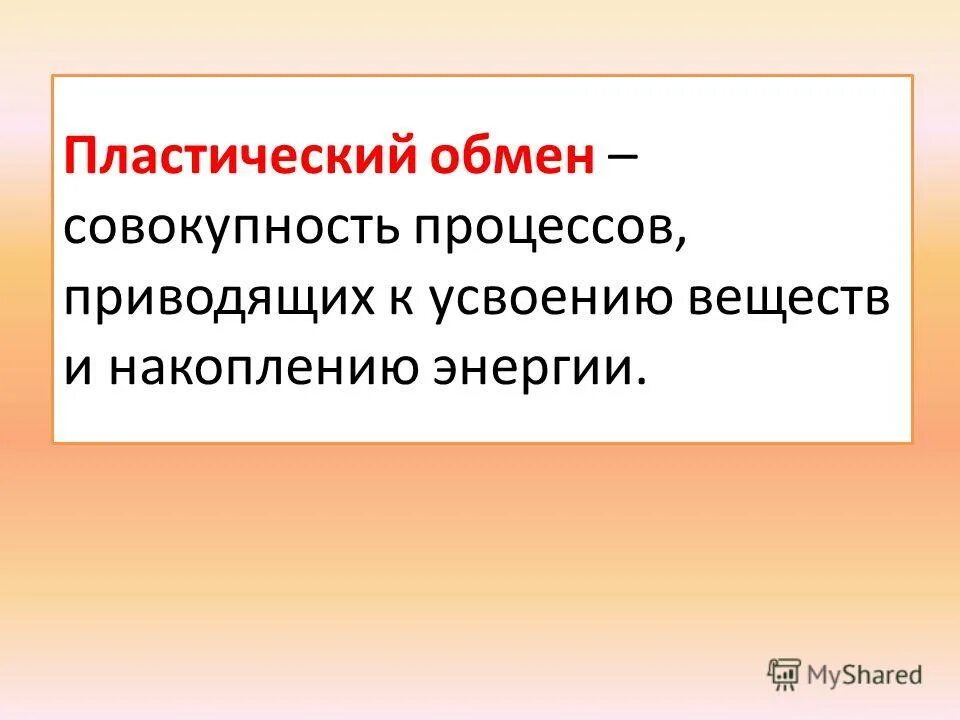 Пластический обмен веществ это процесс