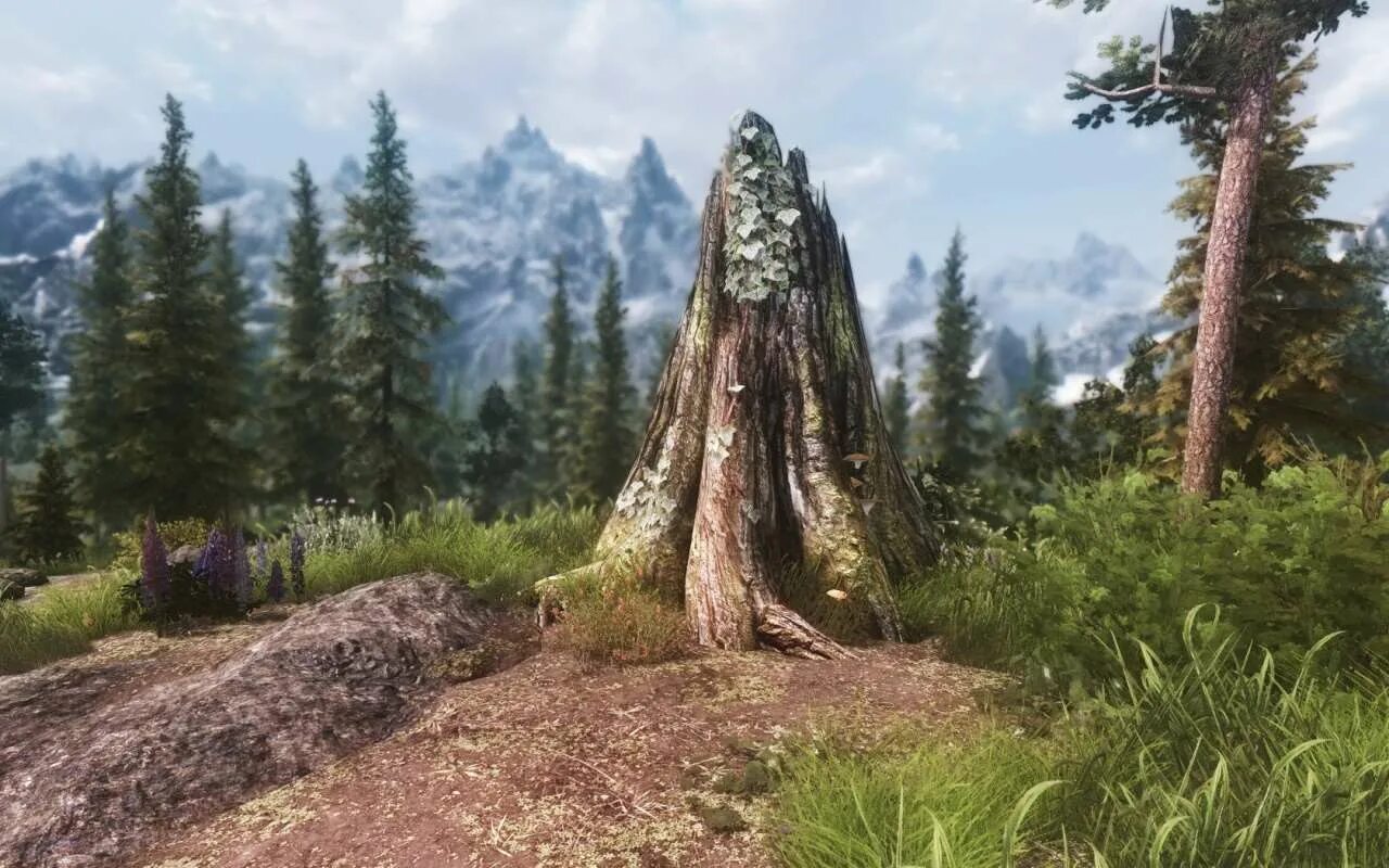 Tundra ENB Skyrim. ЕНБ скайрим Ле. Скайрим ENB. Лучший ENB для Skyrim. Тундра скайрима