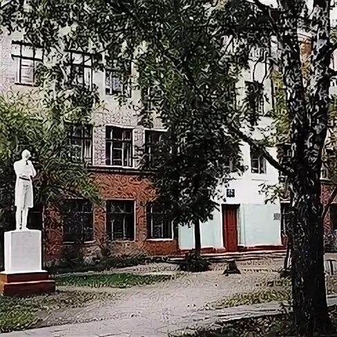 Школа 14 ковров