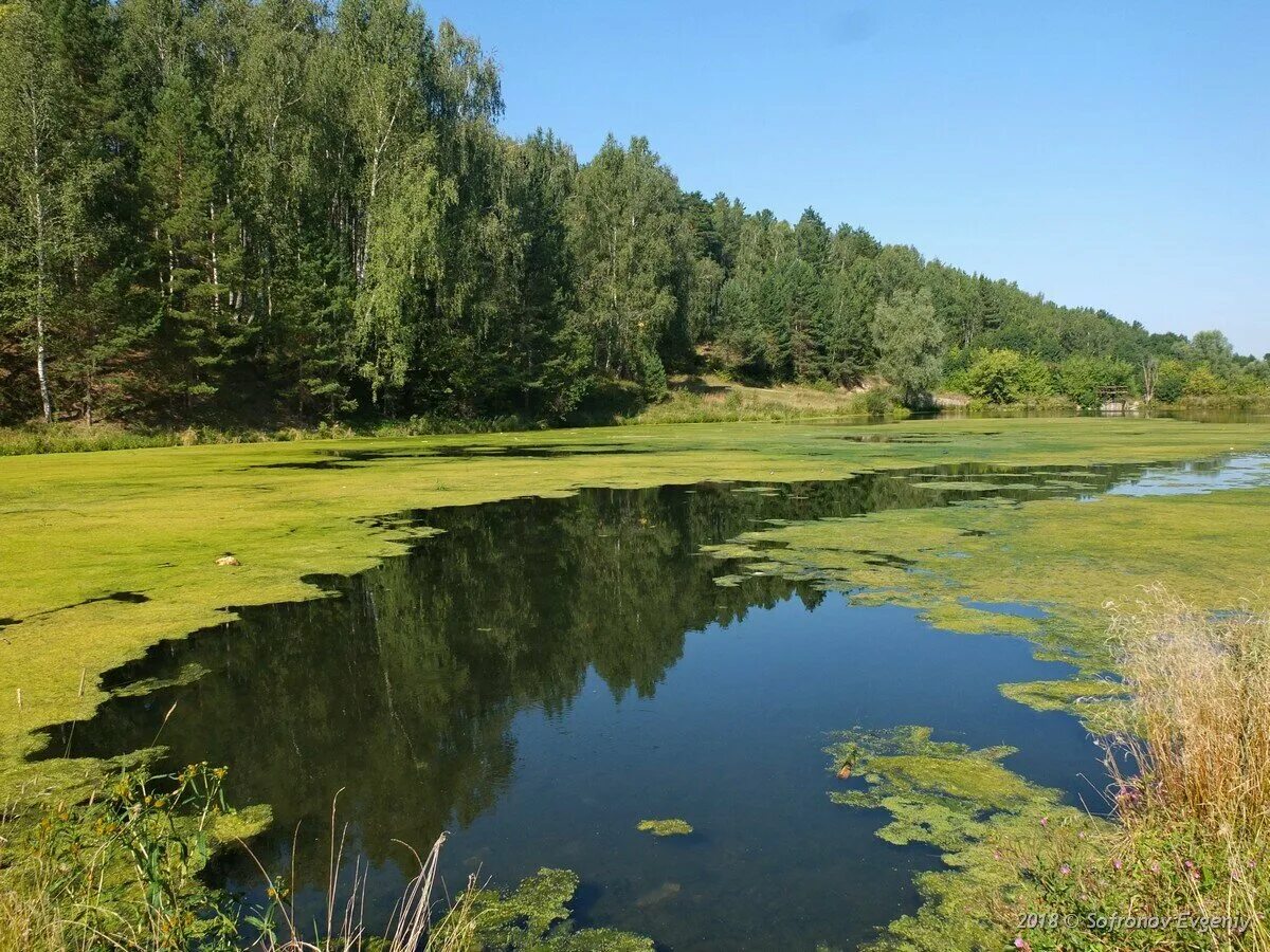 Водоемом является