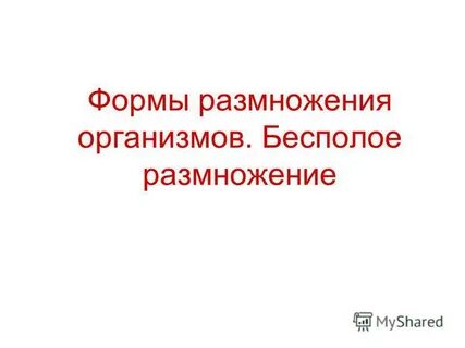 Текст формы размножения организмов