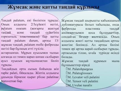 Жасырын камерадағы порновидео