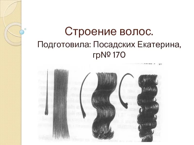 Какая бывает структура волос. Строение волоса. Типы структуры волос на голове. Строение стержня волоса. Строение волоса человека.