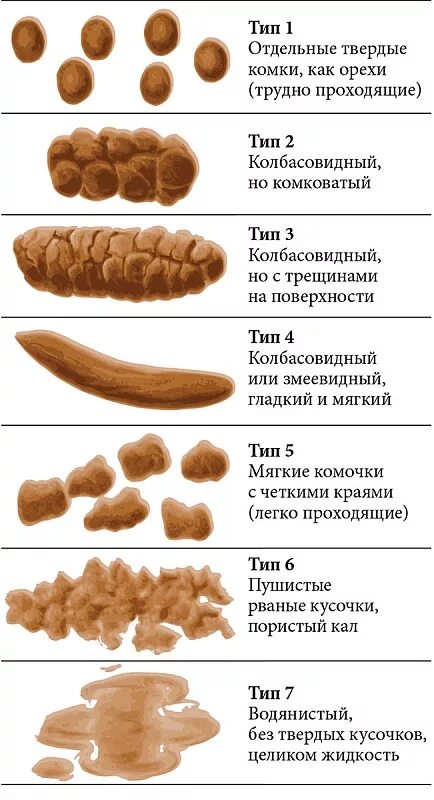 Бристольская шкала запора. Бристольская шкала кала у грудничка. Бристольская шкала кала запор.