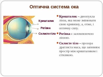 Система ока