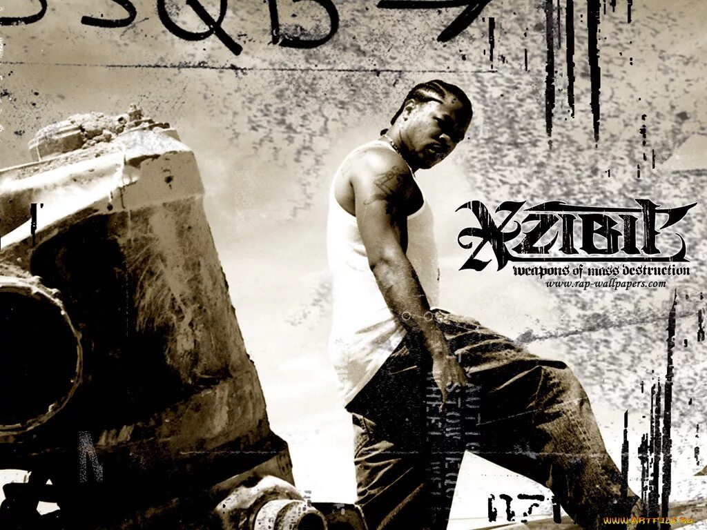 Xzibit. Xzibit обои. Xzibit Weapons of Mass Destruction. Xzibit молодой. Fight the power