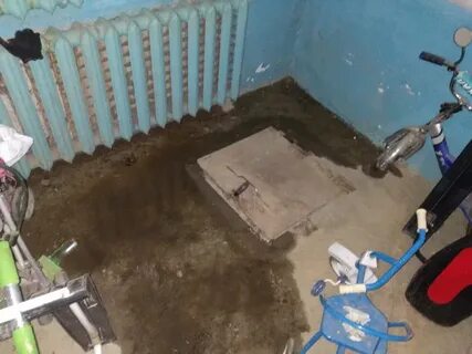 Затопила управляющая компания