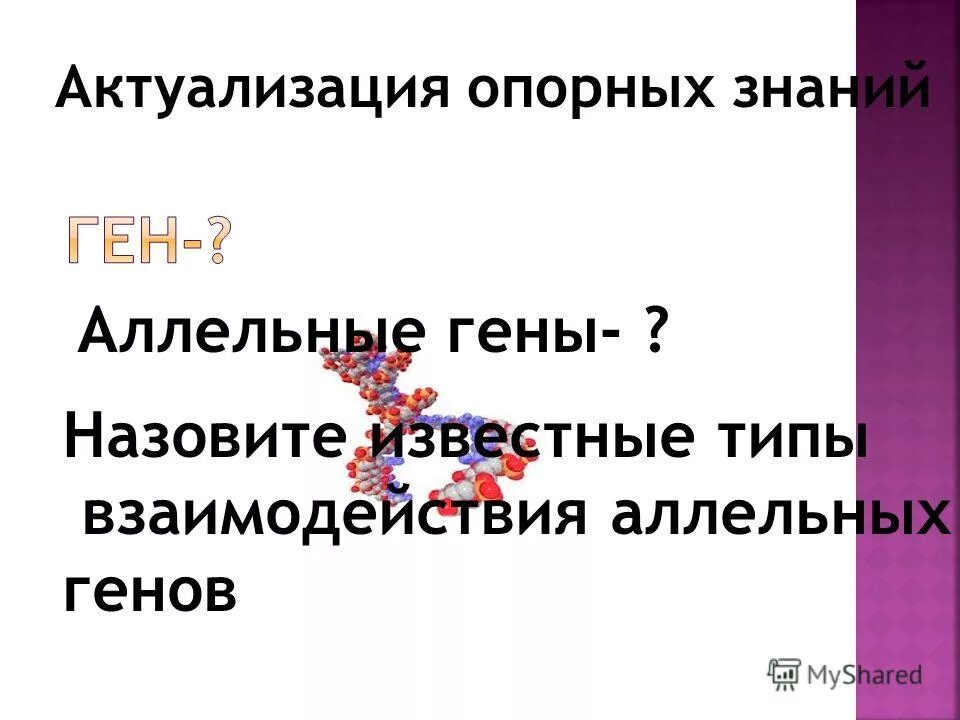 аллельными называются гены