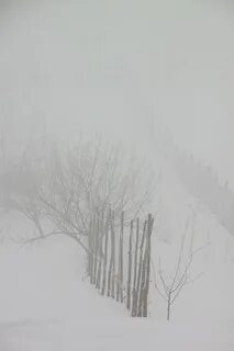 Песня холода туман