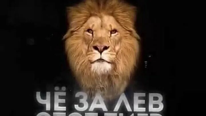 Но я лев кто поет. Кто поет что за лев это. Лев барашков фото. Кто поет что за лев это. Лев барашков диск.
