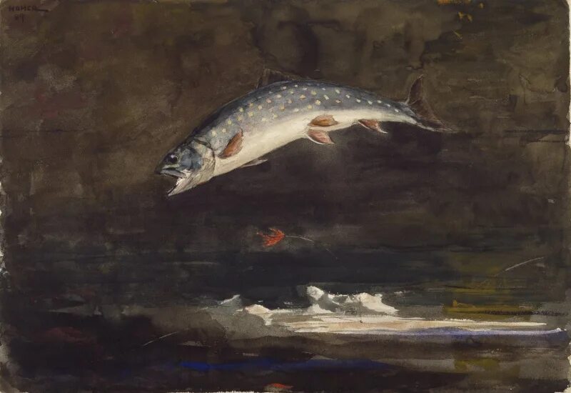Шуберт форель. Trout for cloud. Иллюстрация к форель шуберта. Песня форель шуберта. Форель слушать на русском.