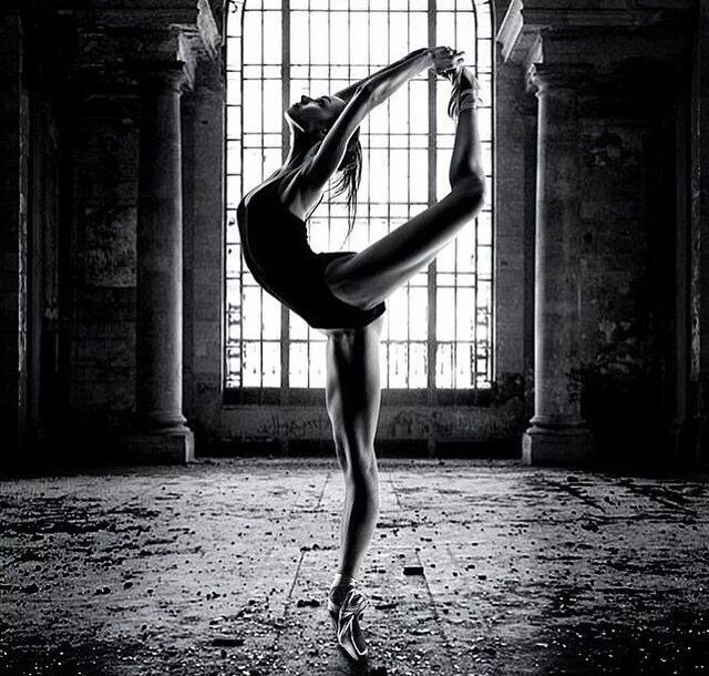 P A S S I O N FOR D A N C IN Ballet blog, Dancer silhouette, Dance like no one i