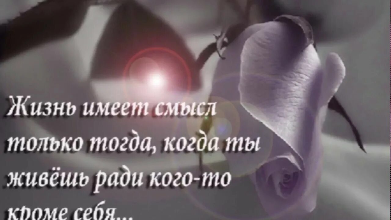 Почему жизнь имеет смысл. Жизнь имеет смысл только. жизнь имеет смысл если есть ради кого жить.