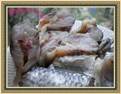 Как вкусно засолить кефаль