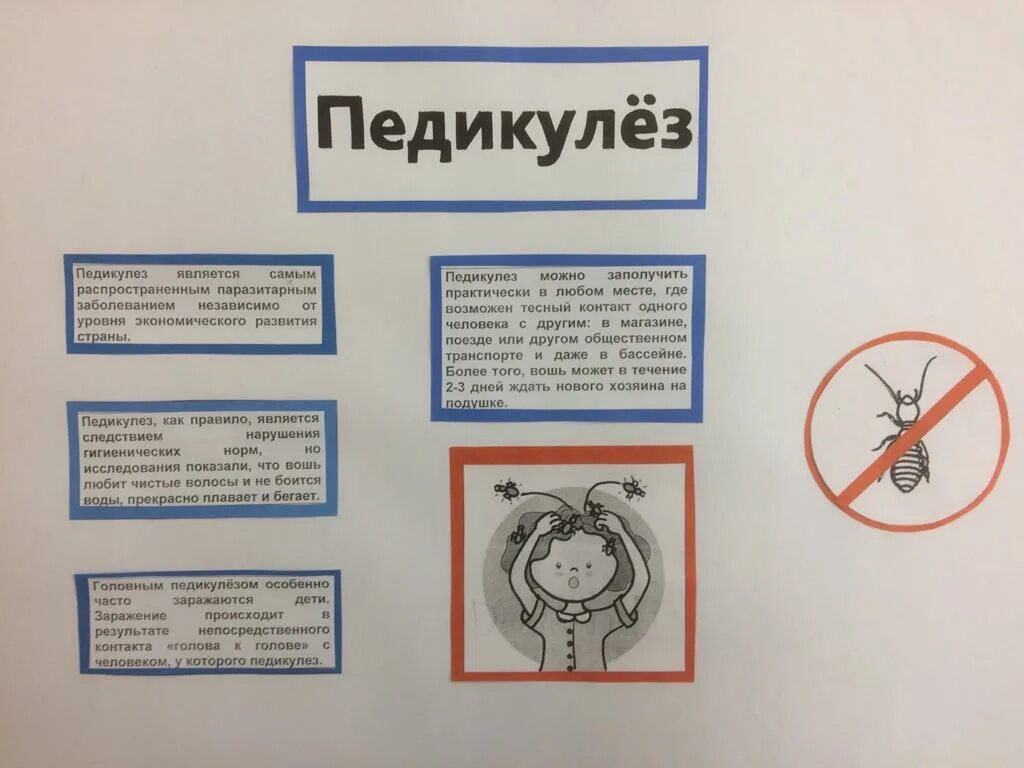 Профилактика педикулеза. Плакат профилактика педикулеза. Кровотечение код мкб 10. Профилактика педикулеза. Педикулёз у детей профилактика в детсаду.