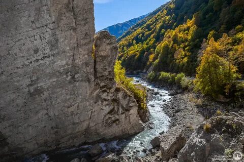 День единого текста аргунский заповедник