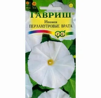 Ипомея семена