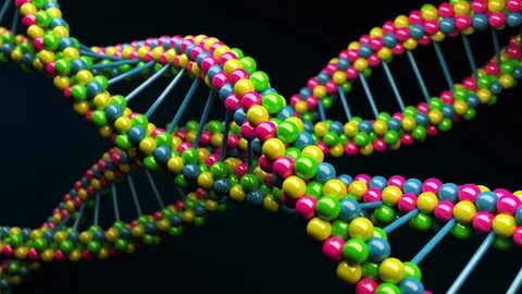 Dna