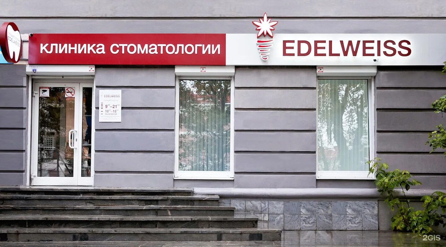 Центр эдельвейс арамиль. Стоматология эдельвейс екатеринбург гагарина 47. эдельвейс медицинский центр екатеринбург. эдельвейс екатеринбург космонавтов.