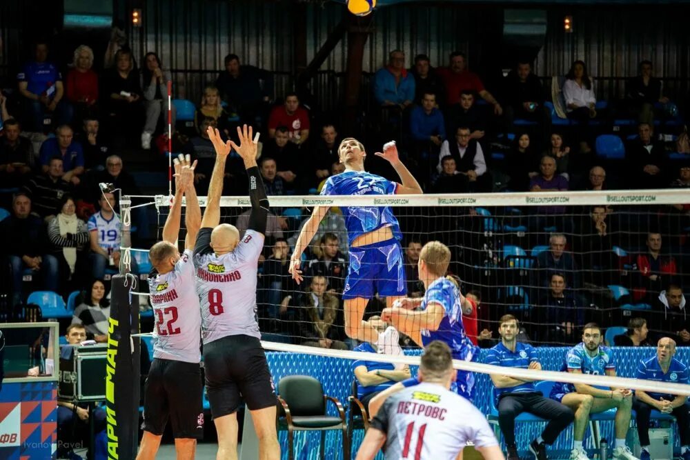 Аск нижегородская волейбольная команда. Суперлига аск волейбол. Волейболисты. А. Волейбол нижний новгород.