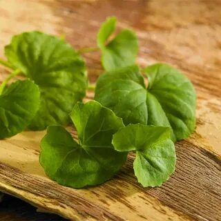Centella