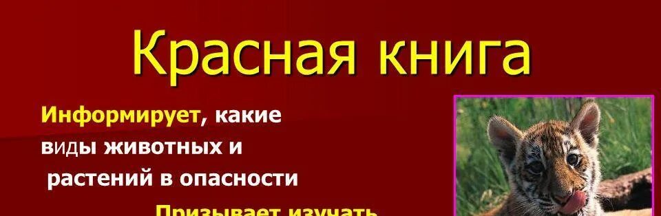 Доклад о красной книге. Выставка красная книга. Животные из красной книги. Картина красная книга. Красная книга ставропольского края животные фото и описание.