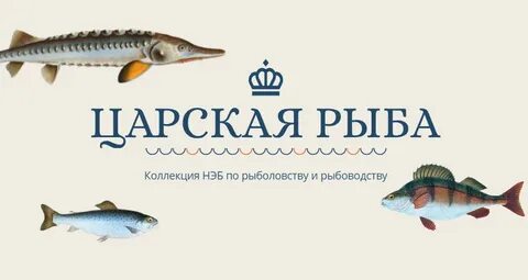 Рыбное имя