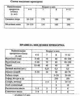 Схема правильного прикорма