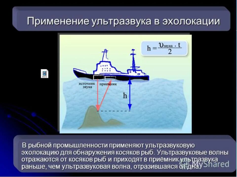 Где происходит распознавание звуков. Применение ультразвука в технике. Применение звуковых волн в технике. Эхолокация. Ультразвук в эхолокации.