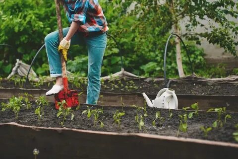 Garden making