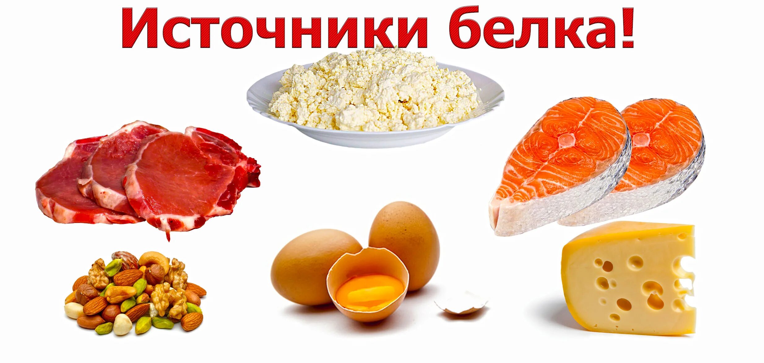 Белковые продукты. Продукты содержащие белки. Питание белки. Список продуктов с содержанием белка. Белковая пища.