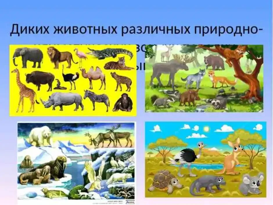 Набор природных зон. Животные разных климатических зон. Животные различных природных зон. Животные обитающие в разных природных зонах. Животные разных климатических зон для дошкольников.