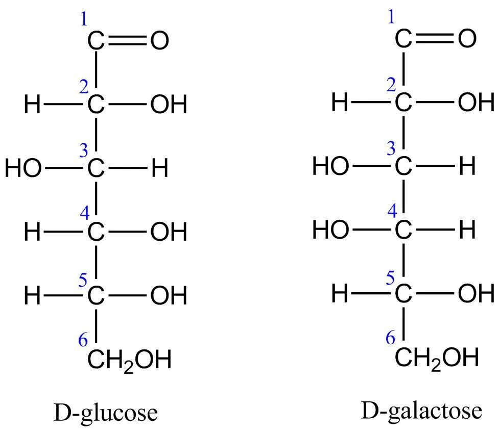 Альфа галактоза. D-glucose. Д Глюкоза. Бета галактоза. Б глюкоза формула