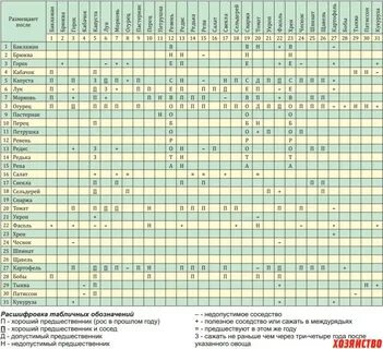 Совместимость посадок на огороде
