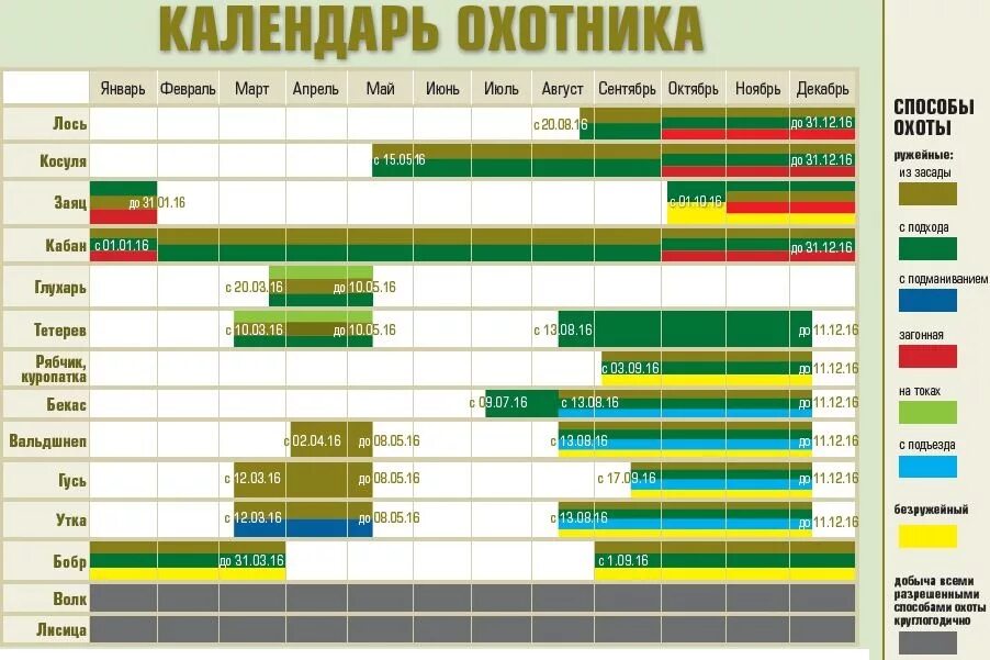 С какого числа открывается охота. Сроки охоты. Календарь охотника. Таблица сроков охоты.