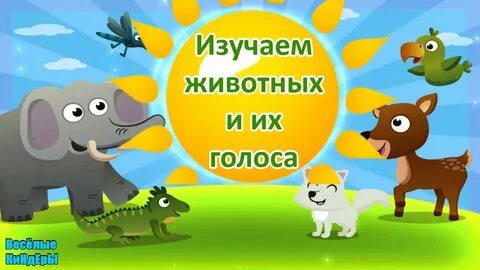 Включи назови животных