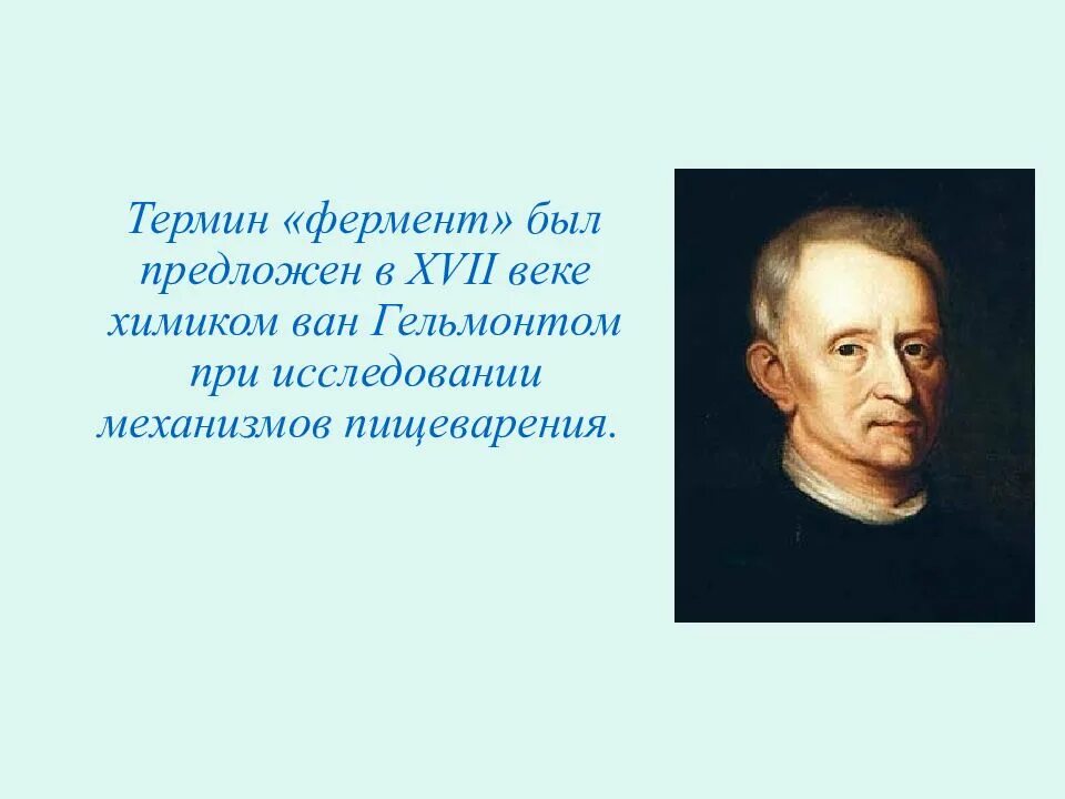 В каком году был предложен термин