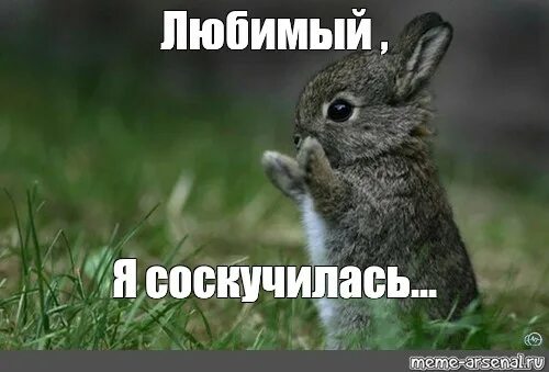 Надпись я тебя люблю. Смешные диалоги с клиентами. Я тебя очень сильно люблю моя зайка. Зай я тебя люблю. Скучаю по зайке.