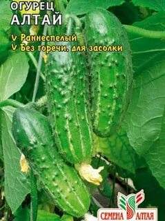 Огурец алтай
