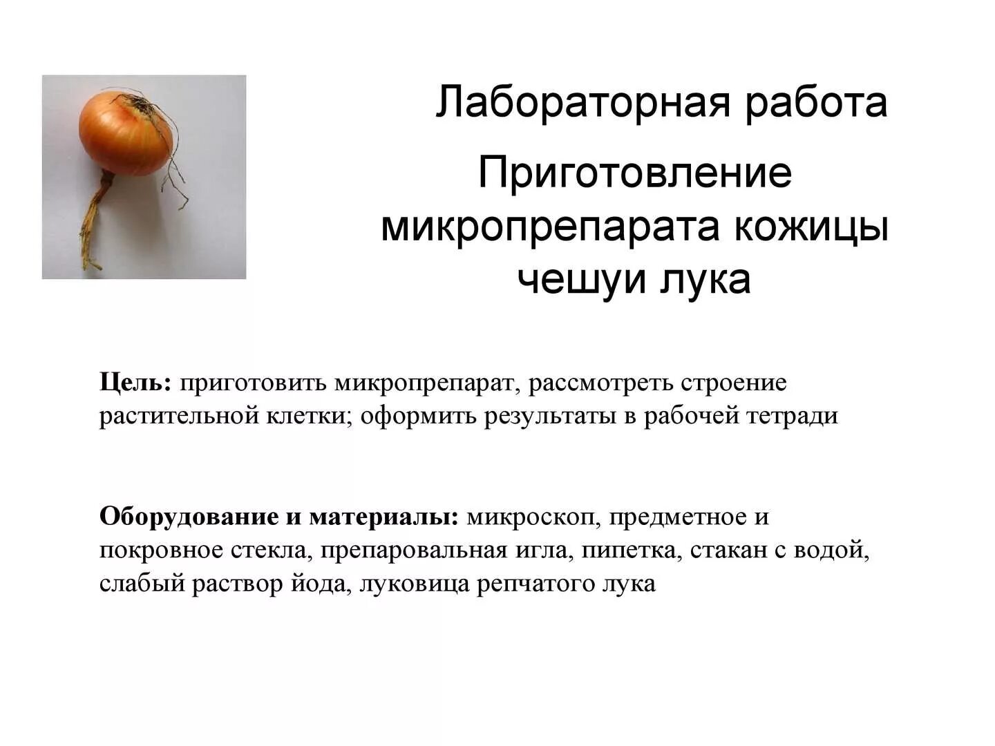 Лабораторная работа 2019. Лабораторная работа 2019