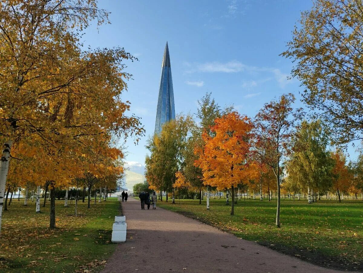 Спб парк 300 летия санкт петербурга. Парк 300-летия Санкт-Петербурга. Парк 300-летия Санкт-Петербурга осенью. Парк 300 летия Питер. Парк 300 летия Петербурга осенью.