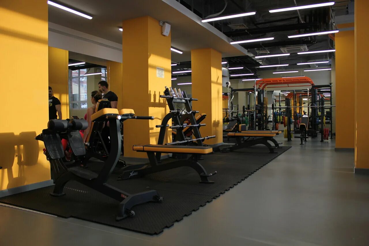 воронеж улица челюскинцев 101б дельта. дельта тренажерный. дельта тренажерный. Delta gym ереван. дельта фитнес воронеж челюскинцев 101.