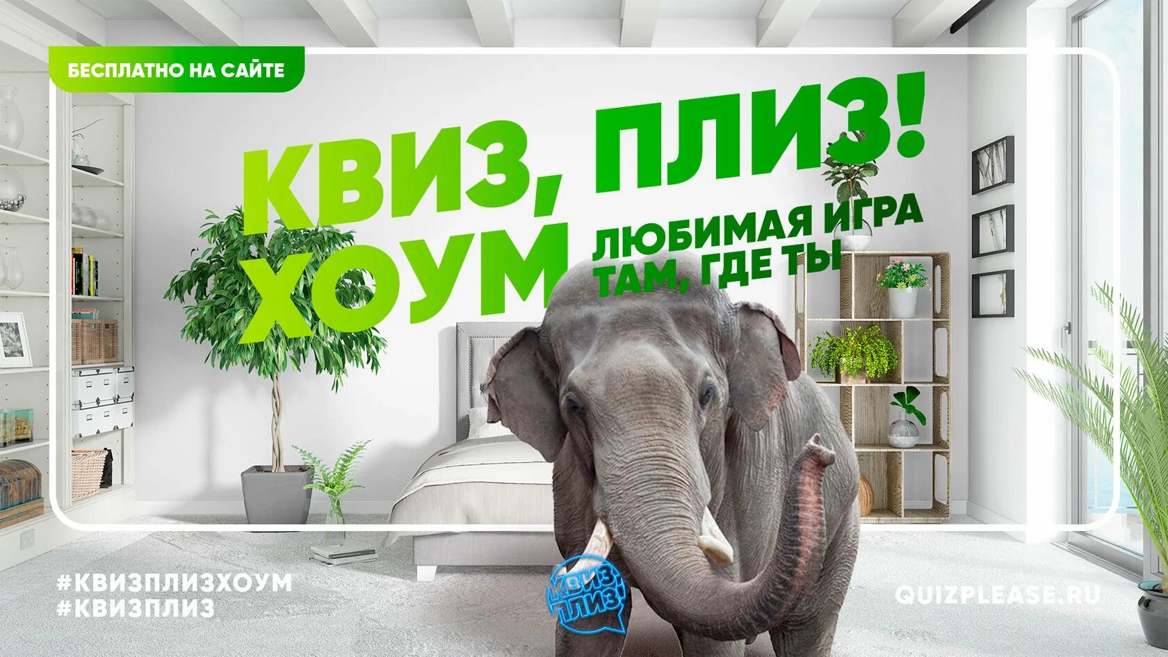 Плиз хоум. Квиз плиз хоум. плиз квиз хоум для подростков. квиз в мире животных. квиз хоум 5-8.