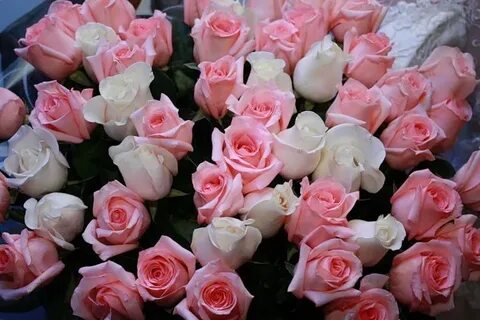 Цветы день рождения женщине розы