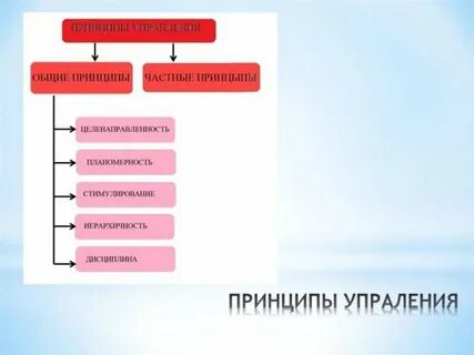 Планомерность является