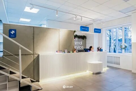 Сас минск
