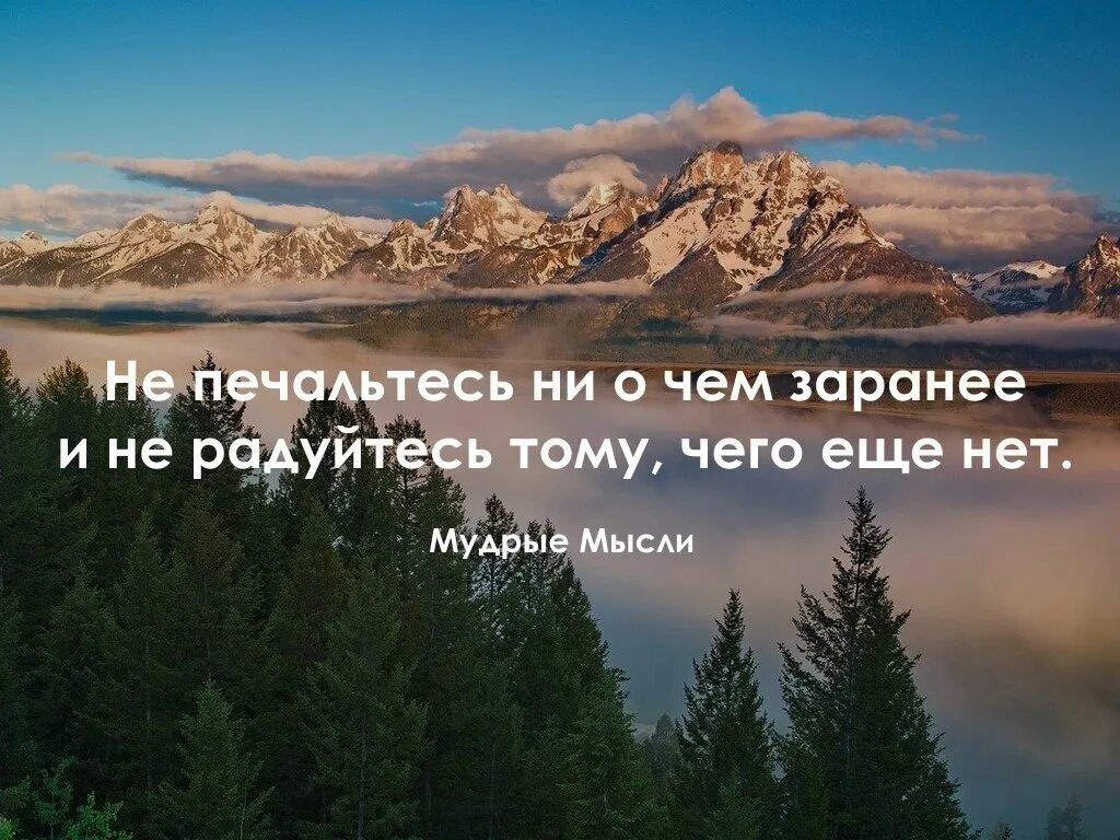 Красочное выражение