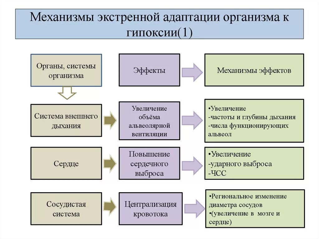 Экстренная адаптация