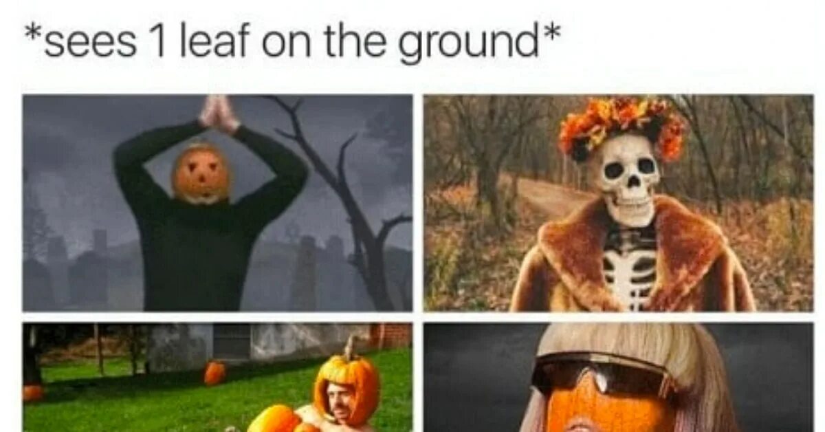 Fall meme. Pumpkin Мем с человеком в очках. Trans people when they see a Pumpkin meme. Femboys when they see Pumpkin meme.